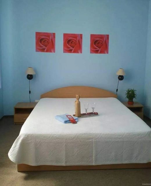 Pensiunea Coca Băile Felix