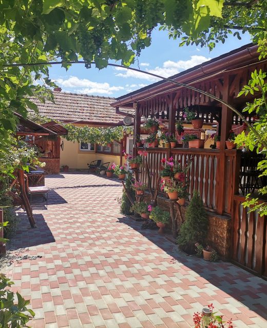 Casa Dana Hațeg