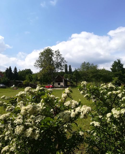 Naturkert Vendégház Várvölgy