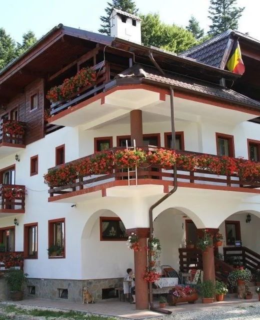 Casa Elena Pârâul Rece