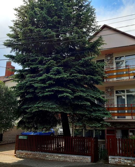 Rideg Apartment Héviz