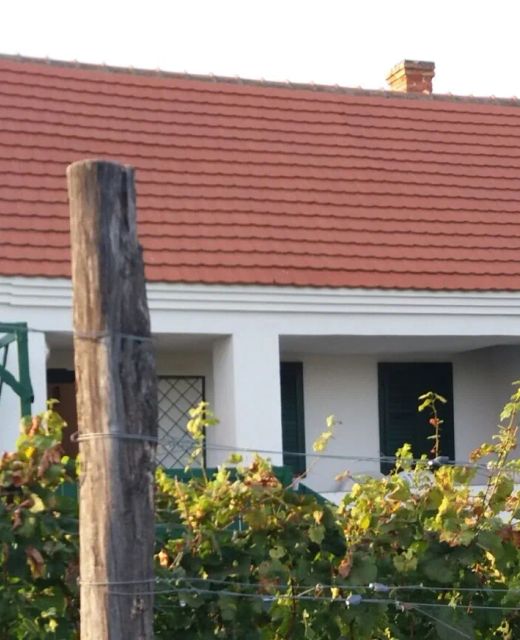 Szent Márton Vendégház Somló Doba
