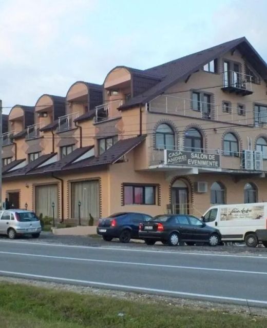 Pensiunea Casa Andrei Merișani