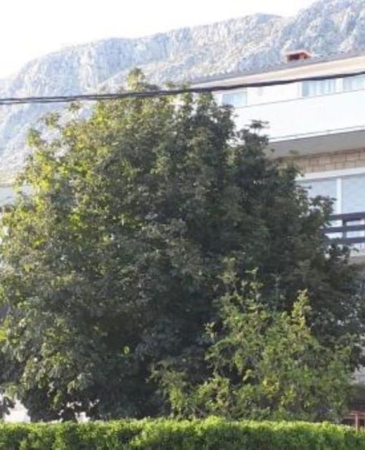 Apartmani Škobalj Duće