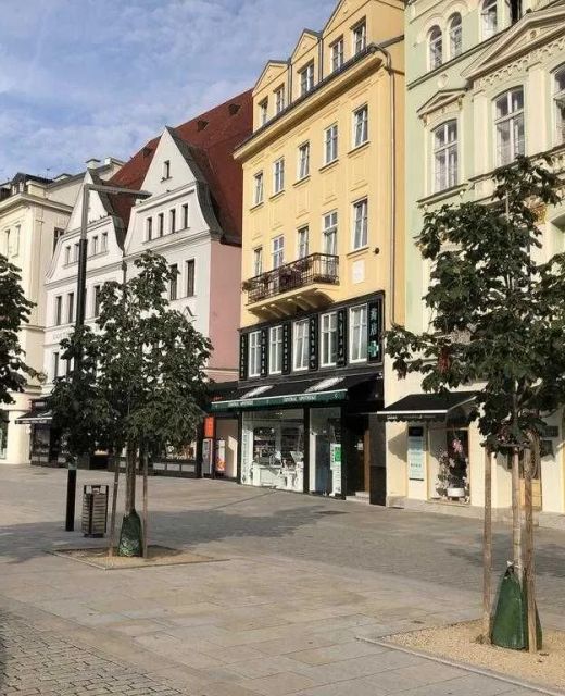 Apartmán Orchidej U Vřídla Karlovy Vary