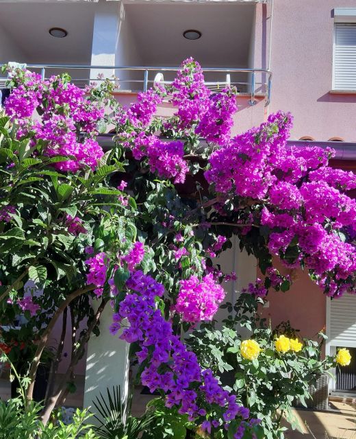 Apartment Ulika 3 Rovinj 