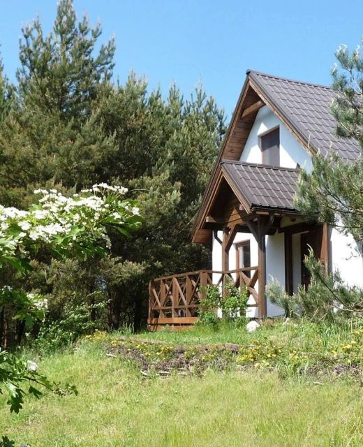 Domek w Sosnowym Lesie - Sauna