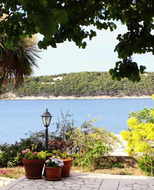 Apartments And Rooms By The Sea Barbat, Rab - 4973 Barbat