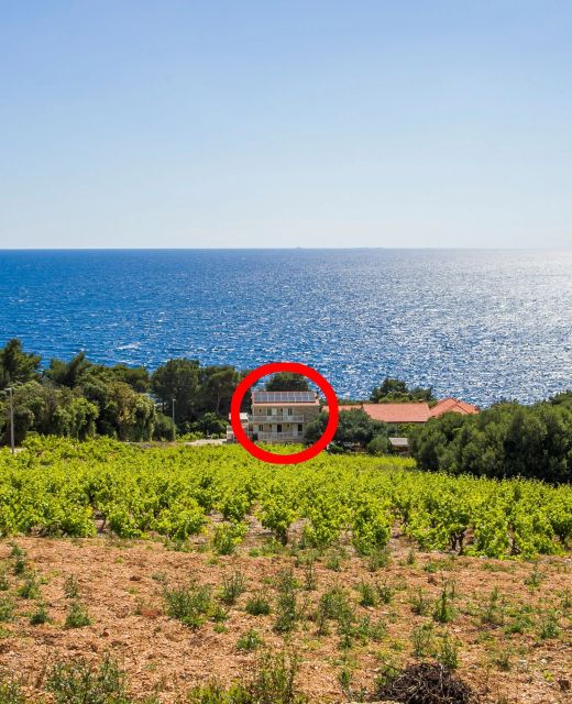 Family Friendly Seaside Apartments Dingač - Borak, Pelješac - 18060 Dingač - Borak
