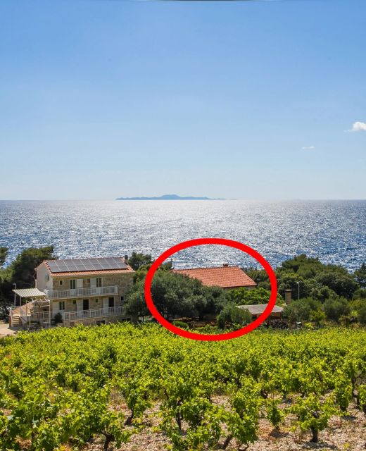 Family Friendly Seaside Apartments Dingač - Borak, Pelješac - 18065 Dingač - Borak