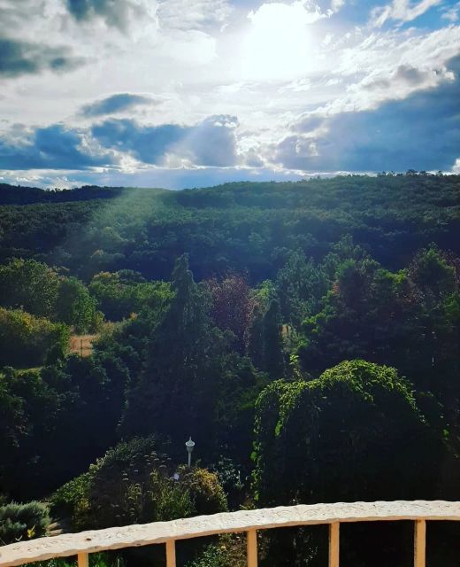 Forrás Hegyi Apartman Felsőörs