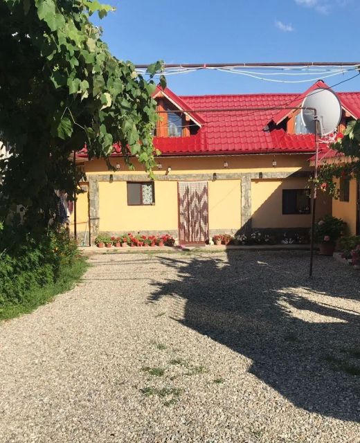 Pensiunea Casa Andreea Novaci