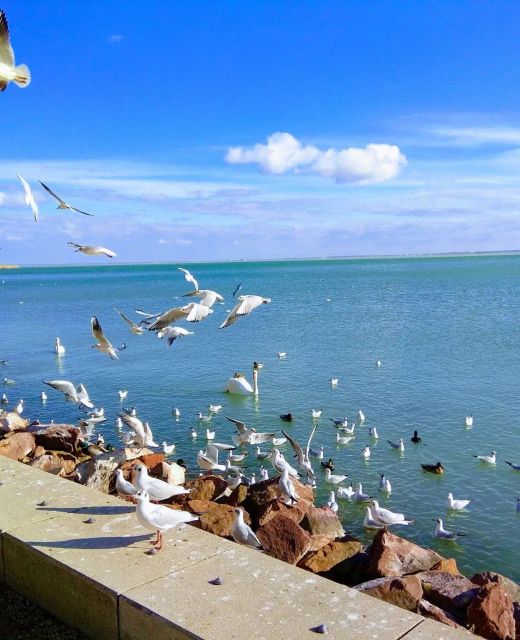 Diófa Lak Balatonalmádi