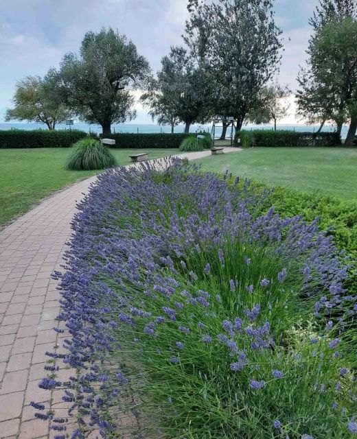 Aranykuckó Apartman Siófok