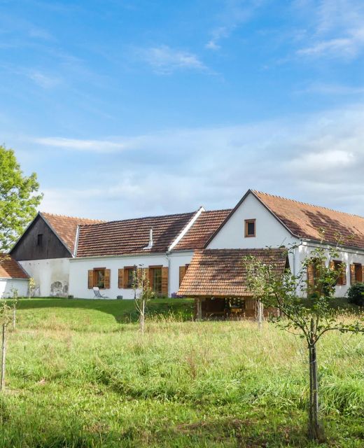 Apartman Limbach im Burgenland - ABU165