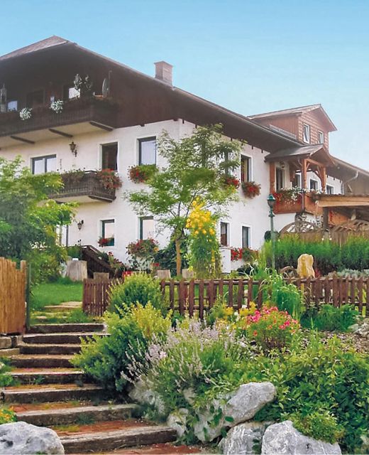 Apartman Ertl - ANO113