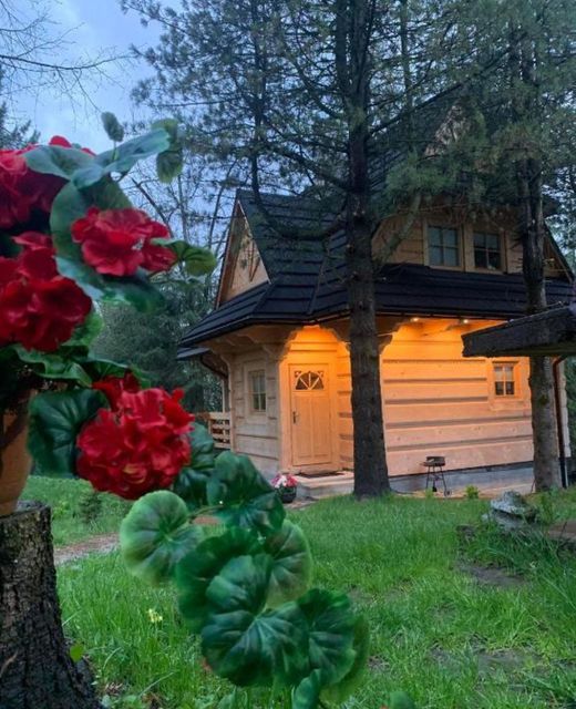 Domek Tatra Wolf House Kościelisko