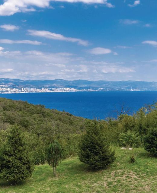 Vendégház Ičići - CKO503