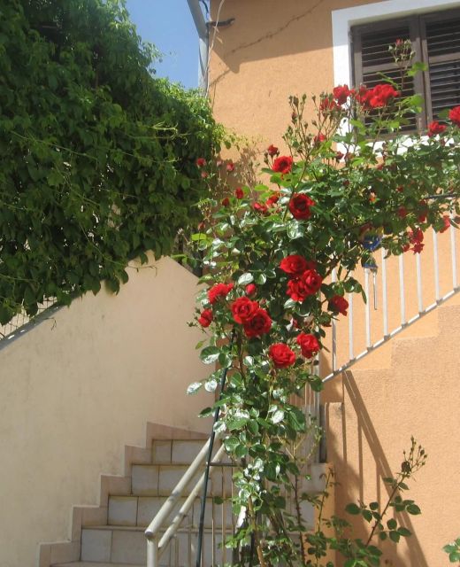 Apartman Luca Prvić Luka