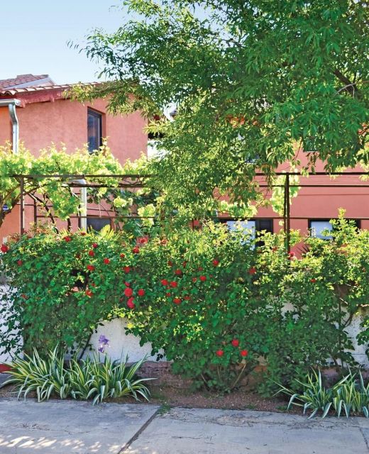 Apartman Valbandon - CIF657