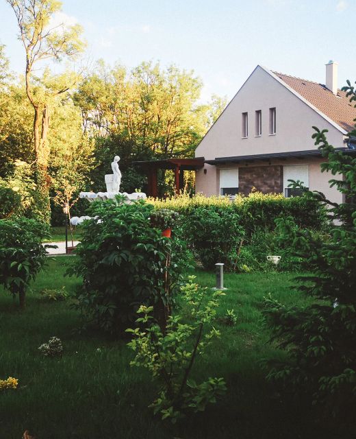 Pitypang Vendégház Kiskunfélegyháza