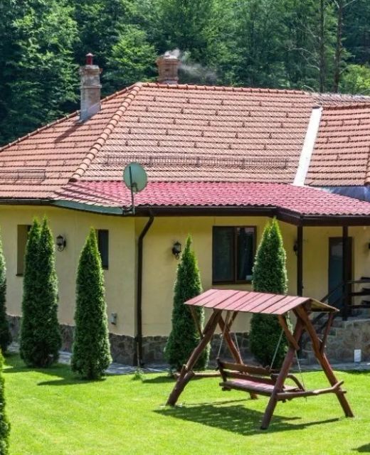 Casa Alex Văliug
