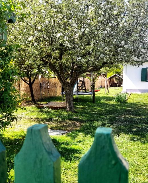 Zöld Orom Vendégház Békésszentandrás