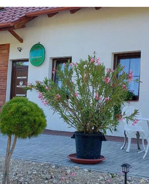 Patak Vendégház Zalaegerszeg