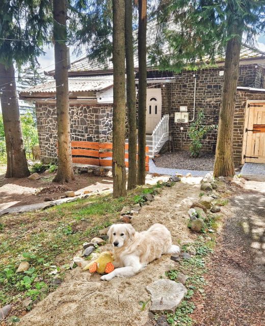 Mountain Home Galyatető Mátraszentimre
