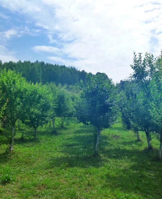 Pensiunea Livada cu meri Lădăuți