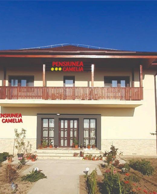 Pensiunea Camelia Baia