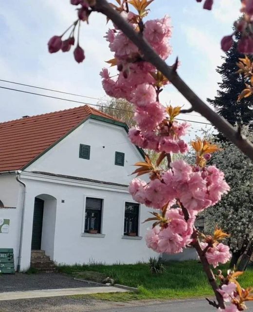 Fűszeres Porta Mihályfa