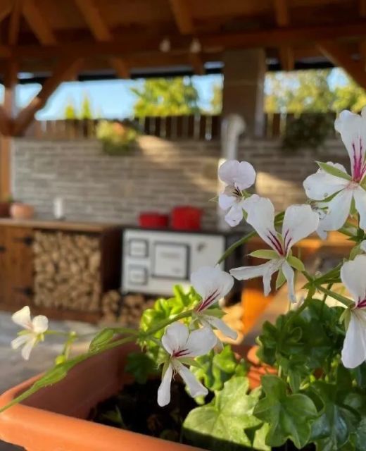 Szőlőszem Vendégház Abádszalók
