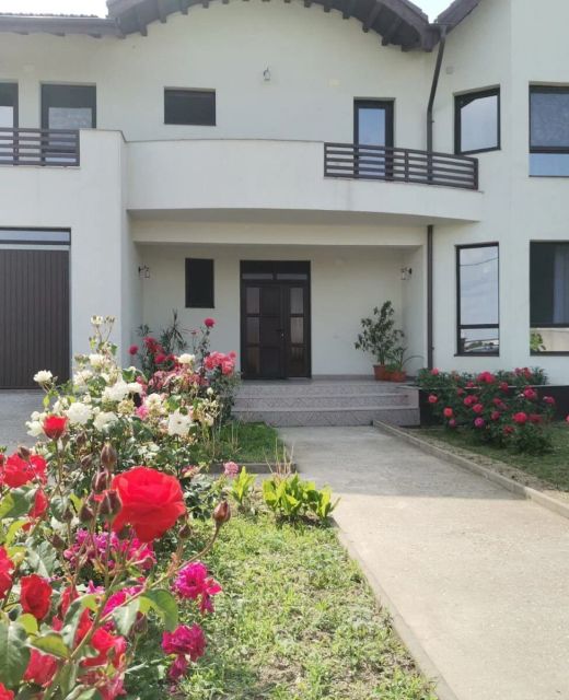 Vila Aladin Târgu Jiu