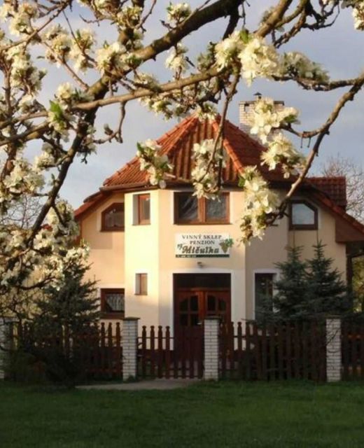 Penzion a Vinný sklep Mičulka Blatnička