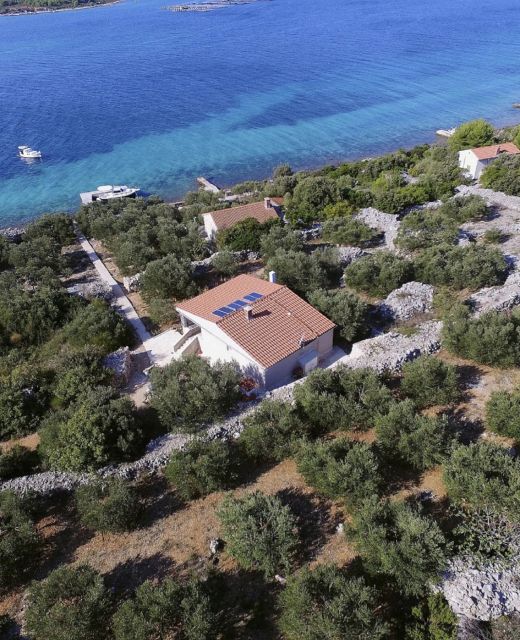 House Marko Tkon II