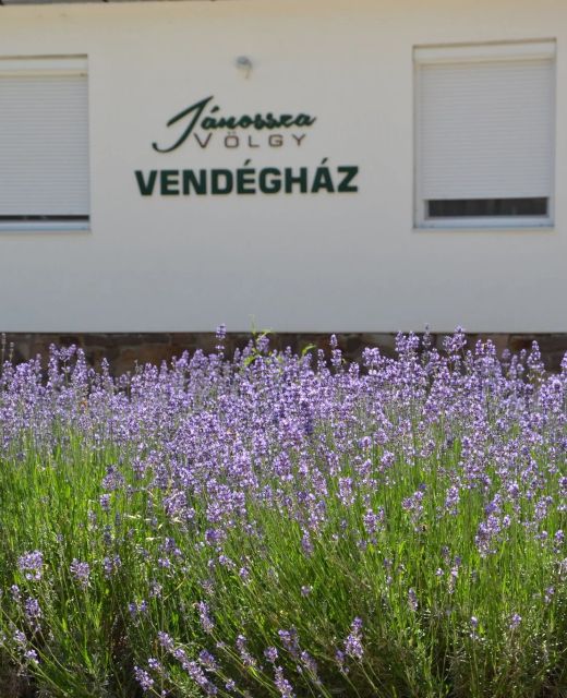 Jánossza-völgy Vendégház Ózd