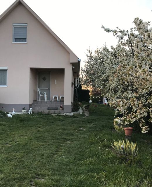 ZSUTI Apartman Tarpa