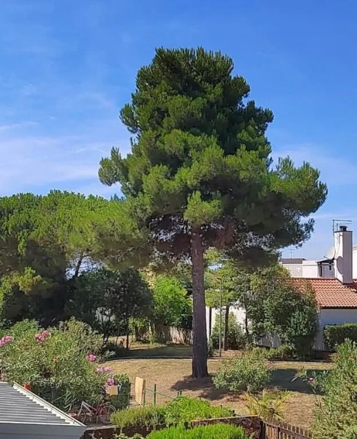 Apartman Golden Sun Novigrad