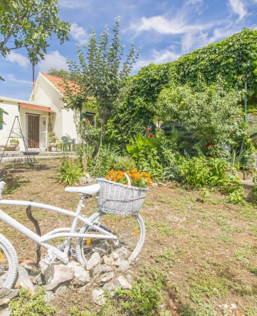 House Green Paradise Vrpolje