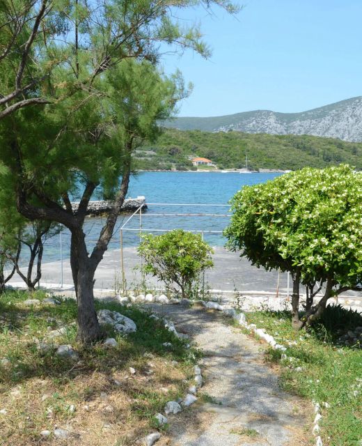 Apartman Račišće - CDS573