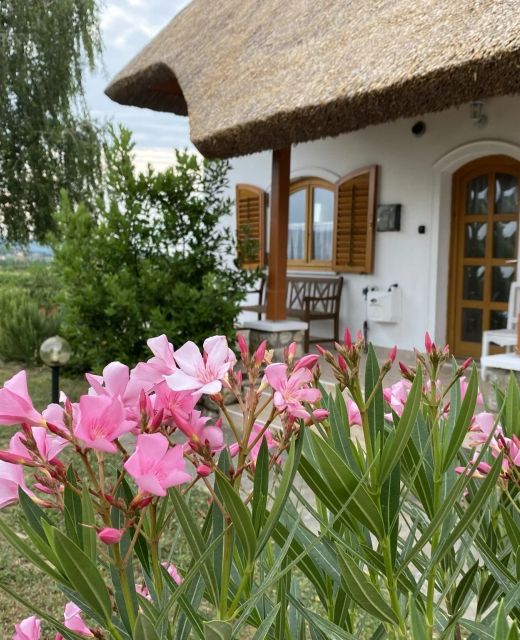 Emese Apartman Cserszegtomaj