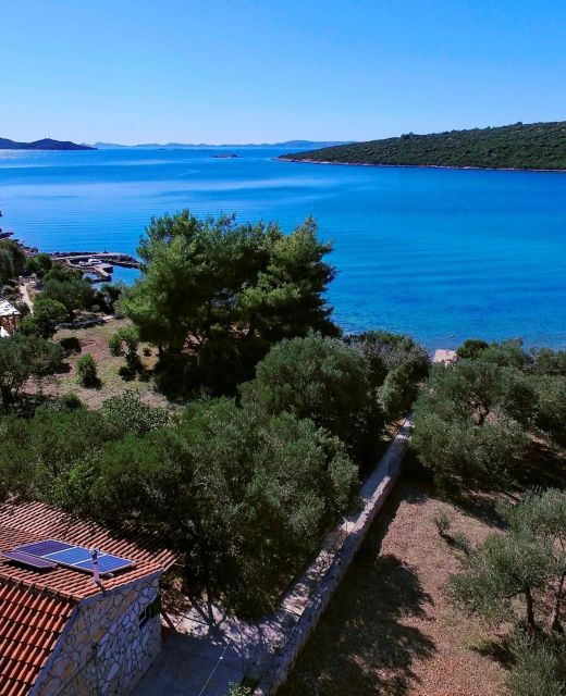House Olive Tree Tkon
