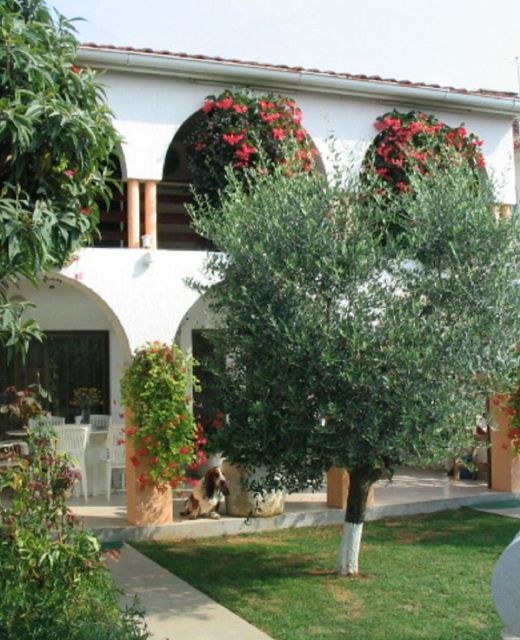 Apartments Matohanac Fazana
