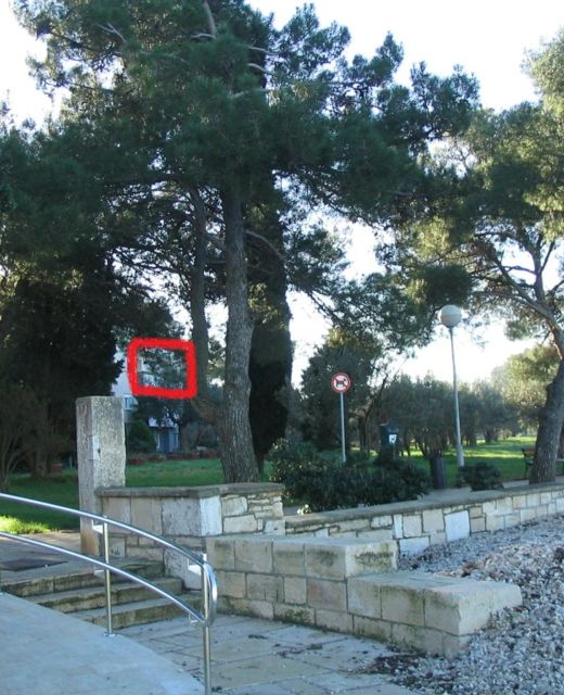 Apartment Oliva Fazana