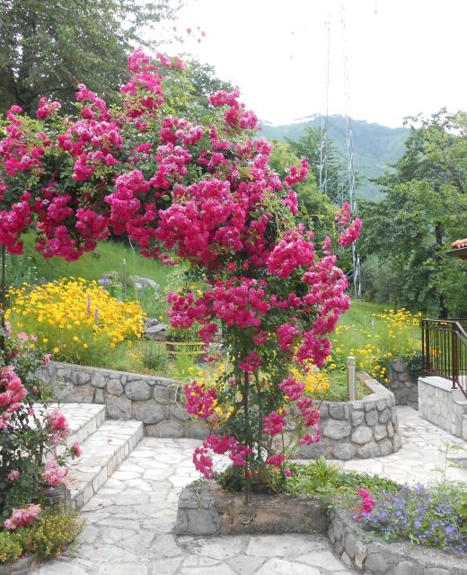 Apartments Vesna Moscenicka Draga