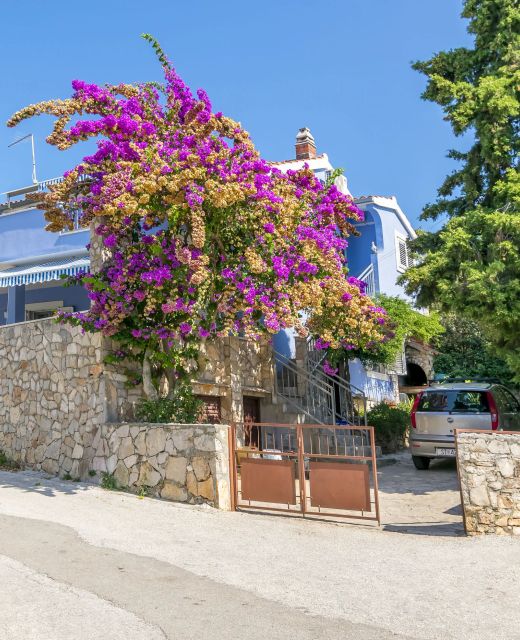 Apartment Nikola Maslinica