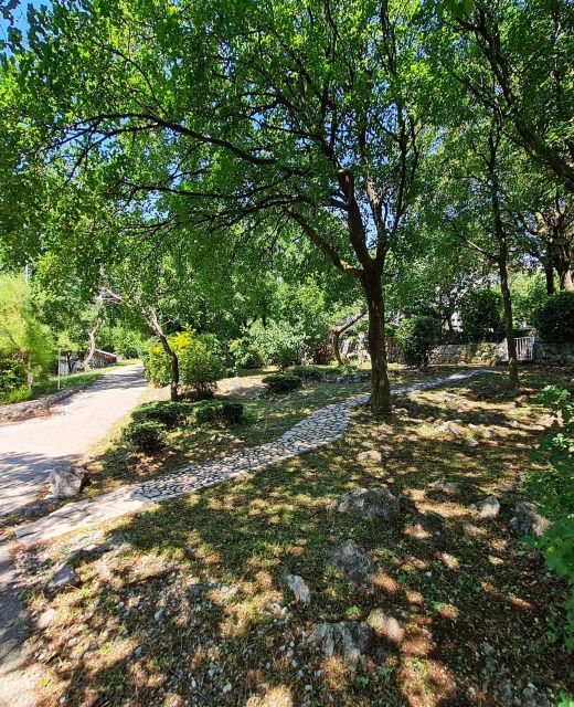 Apartment Morska oaza Klenovica
