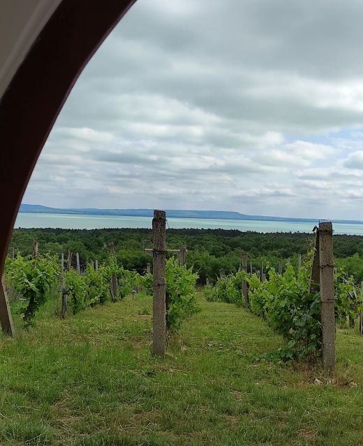 Napraszállás Vendégház Balatonakali
