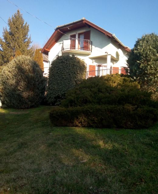 Zöld Oázis Vendégház Igal
